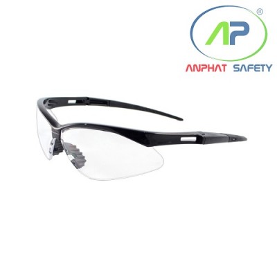 TW - Kính BHLĐ EV501